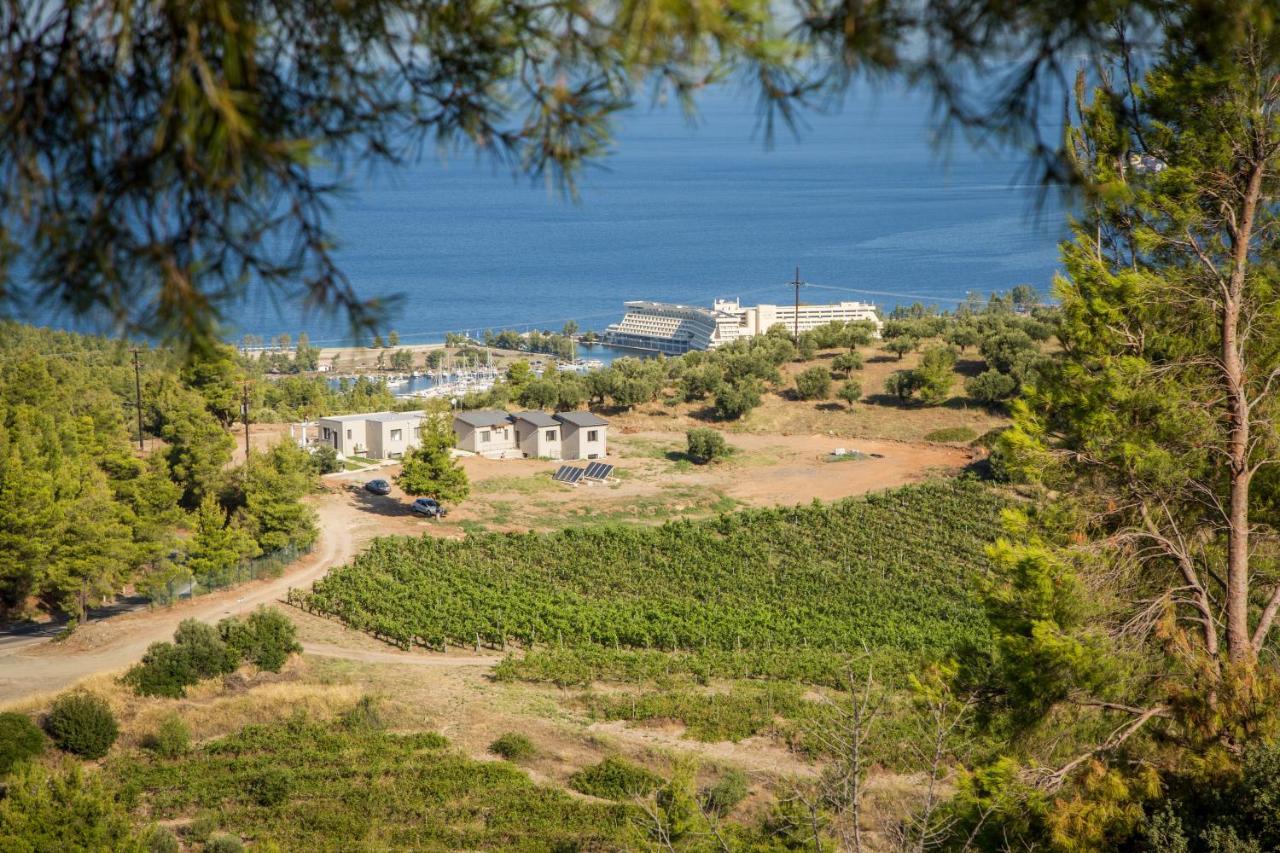 Alikon Adult-Only Aparthotel Neos Marmaras Exterior photo